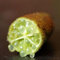 Pianta di Limone Caviale in vaso24 cm. Finger Lime Pianta da 3 anni, piante già fruttificante. Colori Mix (Verde)