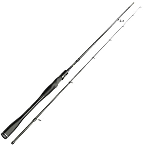 Sportex Graphenon Spin RS-2 GS2411 2,40m 8-29g Spinnrute