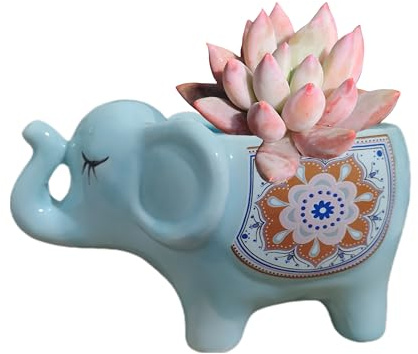 Pot de fleurs en céramique en forme d'éléphant mignon - Cactus - Plante non incluse (bleu)