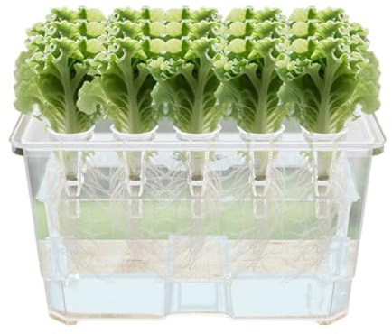 Hydrokultursystem für den Innenbereich – 32 x 22 x 18 cm großer Keimtopf, erdfreie Anzuchtbox, effiziente Hydrokultur-Einrichtung | Balkon, Garten, Hinterhof, Gewächshaus, Bauernhof, Küche, Fensterban