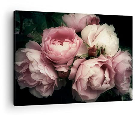 Bilder auf Leinwand Pfingstrose Blume Leinwandbild mit Rahmen 70x50cm Wandbilder Dekoration Wohnzimmer Schlafzimmer Küche Deko Klein Wanddeko Bild Wand Kunstdruck Art Wall Decor Canvas AA70x50-3930