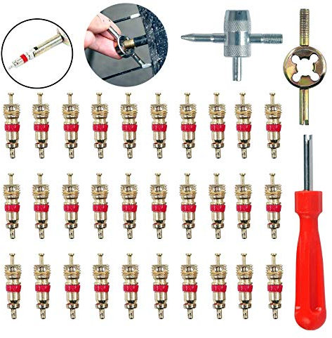 HUAZIZ 33PCS Set Chiave Valvola per Pneumatici Auto Riparazione Rimozione Valvola Nucleo Ricambio Smonta Valvola Strumento di Rimozione Nucleo Automobile Moto Bicicletta