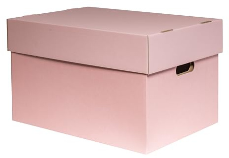 karton-billiger | Boîtes de rangement avec couvercle Boîte d'archivage Boîte cadeau en carton, 100 % recyclé, Rose, 2 tailles ! (6, XL - 50 x 35 x 30,5 cm)