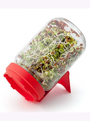 Dürr-Samen Sprossenglas Keimglas Rot Keimsprossen Sprossen Siebdeckel Keimgerät ideal für Keimsprossen