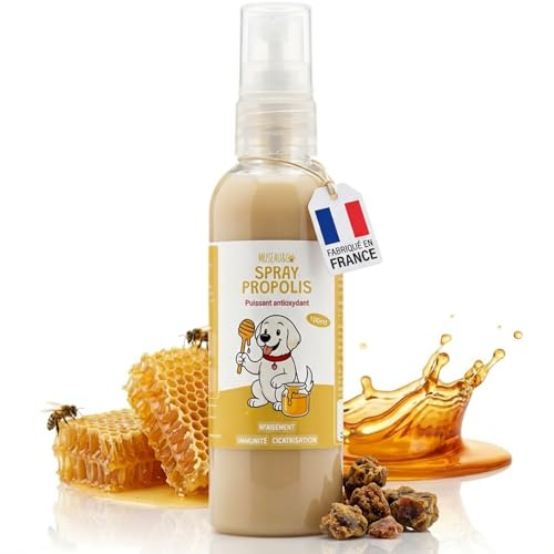Spray Propolis Chien Chat - Gingivite Stomatite Hygiène Buccale - Propolis Pure sans Alcool - Cicatrisant Plaies Irritations - 100ml Spray Naturel - Fabriqué en France - Museau & Co