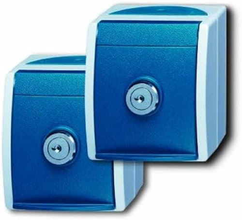 Busch-Jaeger 20/20 EWSL-53 2 Schuko Steckdosen