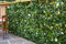 eXtreme Instant Hedging Artificial Screening Fencing Trellis Privacy Screen Garden Expanding Willow With Summer flowers - 2M x 1M - Can Be Extended!