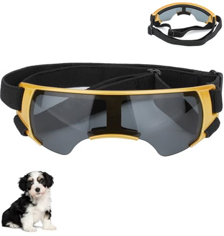 Sommer Schneebrille, Sonnenbrille für Kleine Hunde, Augenschutz Brille Windschutzbrille,UV-Schutz Hunde Sonnenbrillen,Beschlagfrei,für Motorrad Hundefahrradkorb Cabrio (Gold)