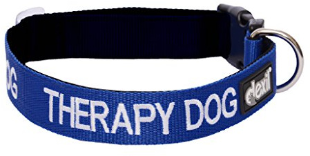 Neopren-Hundehalsband mit ‚Therapy Dog‘-Aufdruck, blau, gepolstert, als Informationsmittel in der öffentlichkeit