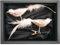 “Cheers to Christmas” – Vogel | Christbaumschmuck Champagner Gold