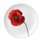Assiette à dessert décorative en porcelaine Motif coquelicot Rouge 20,3 cm