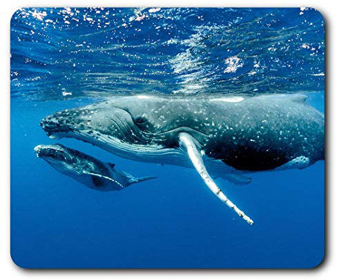 Destination Vinyl Ltd Baby Whale Ocean Sea Nature Mouse Mat Pad Computer PC Laptop Gaming Office Home Desk Accessory Gadget 2024