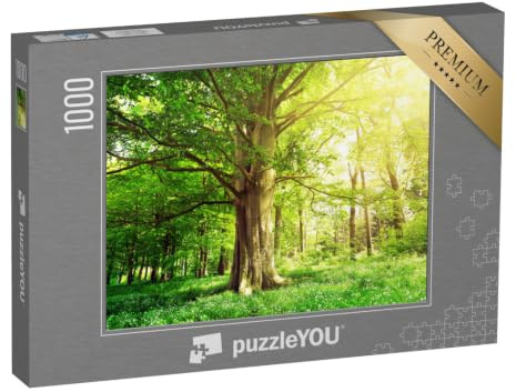 puzzleYOU: Puzzle 1000 Teile „Buchenwald mit einem Alten Baum im Sonnenlicht“ – aus der Puzzle-Kollektion Bäume, Pflanzen, Wald & Bäume, Blumen & Pflanzen