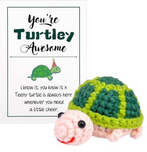 Onlvmyur Positive Schildkröte, Ermutigungs Geschenke Lustige Positive Potato Pocket Hug mit Positiver Karte,Geschenke für Neujahr, Geburtstag, Freunde, Party, Deko