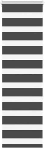 vidaXL Doppelrollo Schwarz 45x150 cm Stoffbreite 40,9 cm Polyester