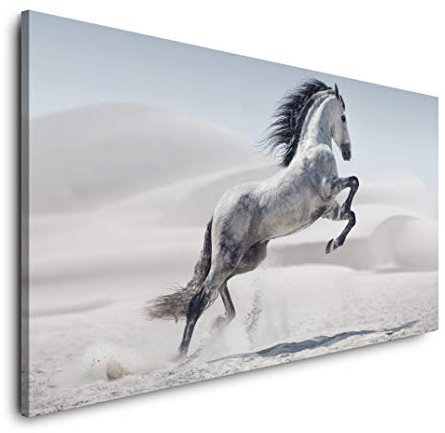 Paul Sinus Art 120x60cm Weißes Pferd Panorama Leinwand Bild XXL Format Wohnzimmer Deko Kunstdrucke