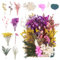 NVIYAM Trockenblumen zum Basteln Natürliche Getrocknete Blumen Trockenblumen Frühling Set Blumen zum Basteln Blumen Natürliche Gemischte Echte Getrocknete Gepresste Blumen für Diy Epoxidharz Scrapbook
