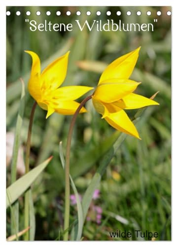 Seltene Wildblumen (Tischkalender 2026 DIN A5 hoch), CALVENDO Monatskalender: Wildwachsende Schönheiten (CALVENDO Natur)