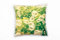 Paul Sinus Art Vintage, Seifenblasen, grün, beige Deko Kissen 40x40cm für Couch Sofa Lounge Zierkissen - Dekoration zum Wohlfühlen