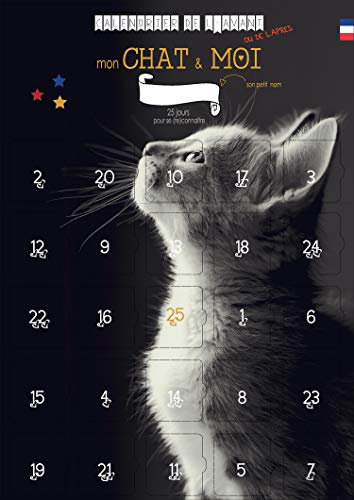 „Meine Katze und ich“-Adventskalender - 25 Spiele und Tipps zum Teilen - VOR- oder NACHHERKALENDER für Erwachsene und KATZE