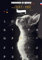 „Meine Katze und ich“-Adventskalender - 25 Spiele und Tipps zum Teilen - VOR- oder NACHHERKALENDER für Erwachsene und KATZE