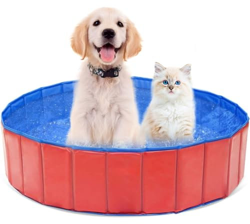 Piscina Plegable para Perros, Piscina para Perros Grandes y Pequeños, Portátil Piscina para Perros, Piscina Infantil para Perros, Bañera para Perros, Piscina para Perros de PVC, Butyeak (60 x 20 cm)
