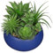 Arborus Fake Plants 17cm Artificial Succulent Plants in Blue Ceramic Pot Faux Succulents Artificial Succulents Potting Small Artificial Plants in Pot for Office Home Bathroom Shelf Decor