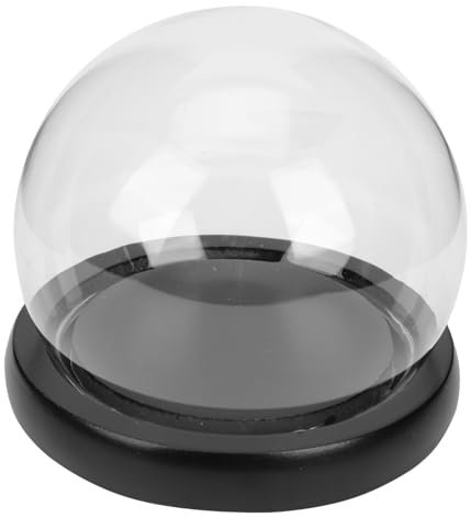 CRILSTYLEO Cloche en Verre pour Micro-Paysage Couvercle en Verre pour Fleurs Éternelles Décoration Présent Transparent