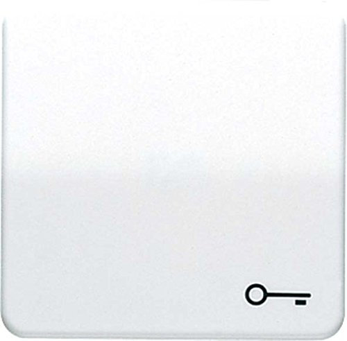 Jung CD590BFTWW Wippe mit Symbol Tür