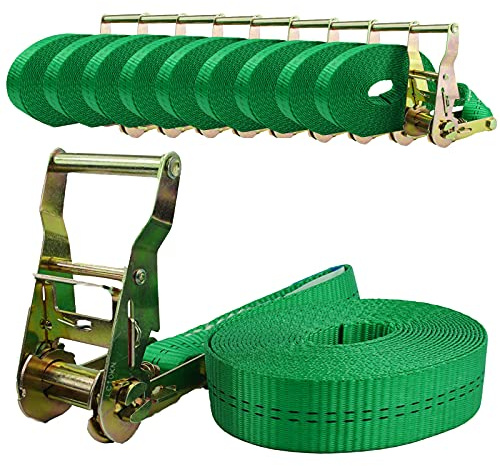 TRUTZHOLM 10x Profi Ratschen Spanngurt Spanngurte Zurrgurt 1-TLG 6m 2t 2to 2000kg TÜV/GS
