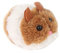 VONGLYHOO Clockwork Mouse Toy,Plush Wind up Racing Rat Cute Mechanical Moving Funny Toy Play for Cat Dog Pet Random Color 1pc