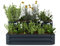 blumfeldt Hochbeet 120x90, 2 Ebenen, Wetterfest & Korrosionsbeständig, Galvanisierter Stahl Für Gemüse & Kräuter, Offene Bodenstruktur, Einfache Montage, Anthrazit