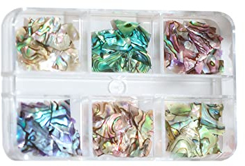 6 Colors 3D Irregular Art Abalone Slices Colorful Art For Shell Piece Gel Sequi