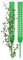 Monstera Plant Support, Muschio Pole per Monstera Plant, traspirante per le zanzare interne | Allevamento per piante, attrezzi da giardino portatili per verdi