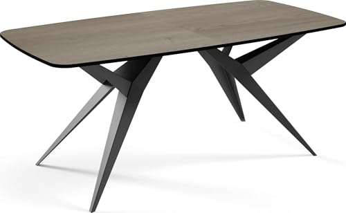 WFL GROUP Ausziehbarer Esstisch im Loft-Stil – Rechteckiger Tisch mit Schwarzen Metallbeinen – Industrietisch mit Abgerundeten Ecken – Platzsparender Tisch für 10-14 Personen – 200 bis 280 cm – Braun
