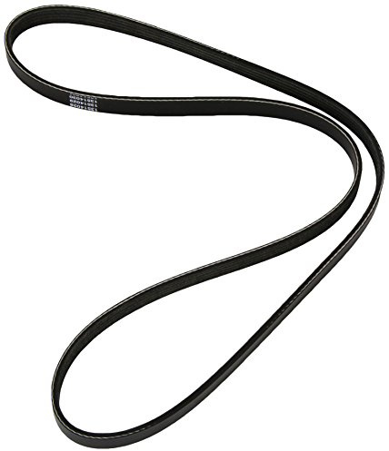 Dayco 5PK1150S Keilrippenriemen | 5PK1150S für Grande Punto Giulietta