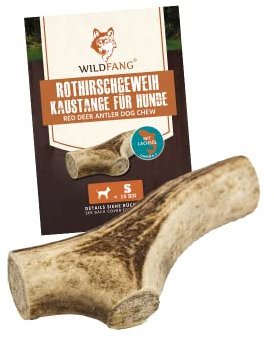 Wildfang® Rothirsch Geweih mit Lachsöl für Hunde I Natürlicher Hunde Kauknochen - Hunde Zahnpflege - Kaumuskel Training - Hunde Spielzeug I Langlebiger Kaustab aus Hirsch Geweih Abwurfstangen - S