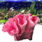 Molyorch Resina Decorazione Corallo Statua, Rosa Corallo Statuetta, Pianta Piante Artificiali Acquario, per Decorazione Dell'acquario, Decorazioni Acquari, Abbellimento del Paesaggio