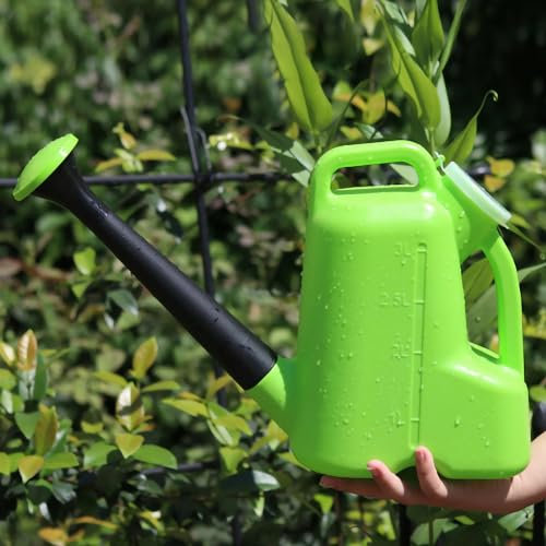 Cyrank Arrosoir 3L pour Plantes D'intérieur, Arrosoir De Jardin, Grand Arrosoir en Plastique à Long Bec, Gallon pour Plantes De Jardin Et Fleurs(Vert)