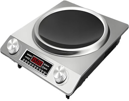 3500W Portable Cast Iron Hot Plate for Home Kitchen and Camping with 10 Temperature Settings