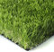 Totò Piccinni Prato Sintetico 35 mm Manto erboso Finta Erba Giardino tappetto effetto realistico Naturale (3x5 Metri)