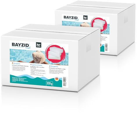 Höfer Chemie BAYZID® Pool 2 x 320g Filtersegmente - ersetzen 25kg Filtersand - Alternative für Filterglas & Kartuschen – Selbstreinigend
