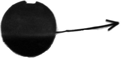 Prasco - LA0021236 - Lancia - Ypsilon - Mod. 09/03-09/06 - Abdeckung Zughaken Stosstange Vorne