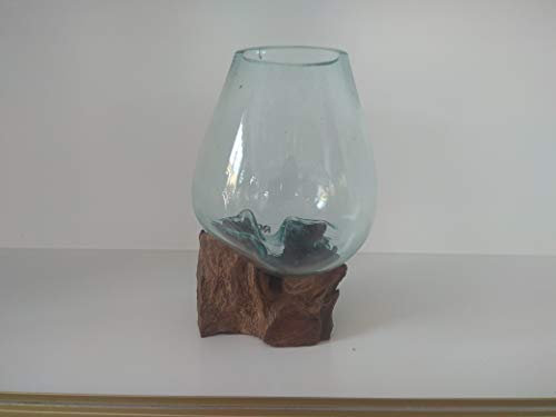 Glass On Teak Driftwood Molten Sculptural Bowl/Plant Terrarium Vase