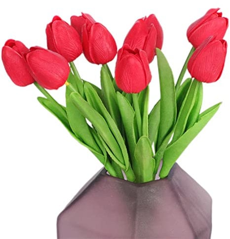 Fiori, bulbo da 20 tulipani, bulbi di tulipano perenne rosso luminoso puro, fiori rossi come nuvole al tramonto, impressione rossa