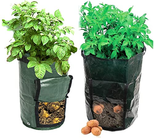 VANZACK Borse Per Fioriere O pe patate sacchi per piantare ravanelli scarpe in miniatura figurina di tigre per pietre miliari Patata piantatrice per patate verdura Fioriera Urna Greca