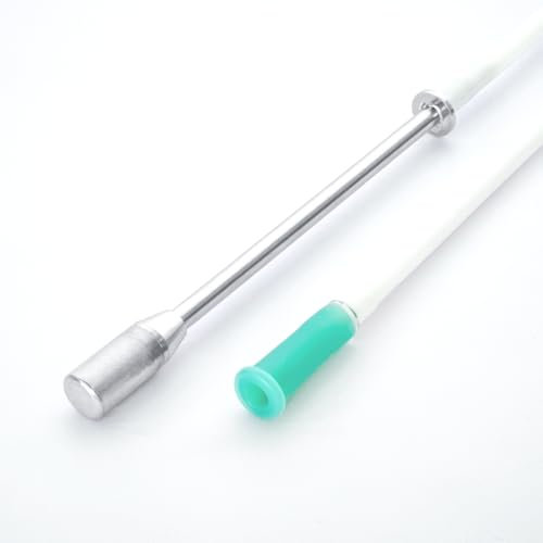 Tige de Dissolution d'hydrogène en Acier Inoxydable avec Pierre de Diffusion Accessoires d'inhalation d'hydrogène Domestique Générateur de gaz H2