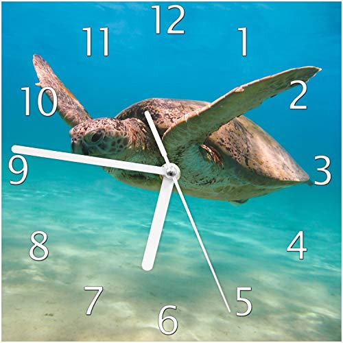Wallario Design-Wanduhr Meeresschildkröte aus Glas, Motiv-Uhr Größe 20 x 20 cm, weiße Zeiger