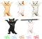 Lot de 5 Porte-stylos en Forme Chat Dansant avec 5 Trombones en Forme Chat, décoration d'haltérophilie, Porte-Stylo, Support Bouchon d'oreille, décoration Durable Amusante, Cadeau Les Amoureux Chats