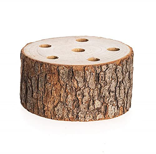 Baumstamm 10 x 4 cm Kampferholz Holzstamm mit vorgebohrten Löchern Deko Basteln Bastelbedarf Tisch-Deko